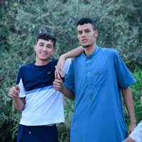 نايلي